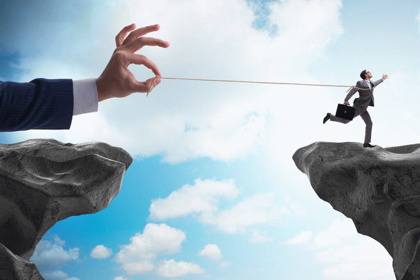 19 نکته برای شناخت، پیشگیری و درمان کم خونی گربه